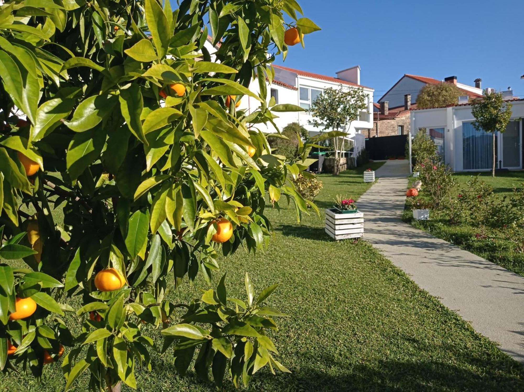 Casas Turisticas Lar Jardin - Parking Privado Santiago de Compostela Exterior photo